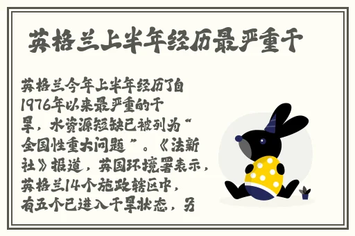 逃脱孕妇精灵与森之馆游戏4预告片